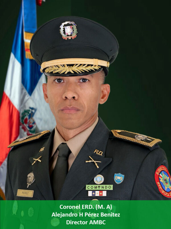 Coronel Alejandro Pérez Benítez